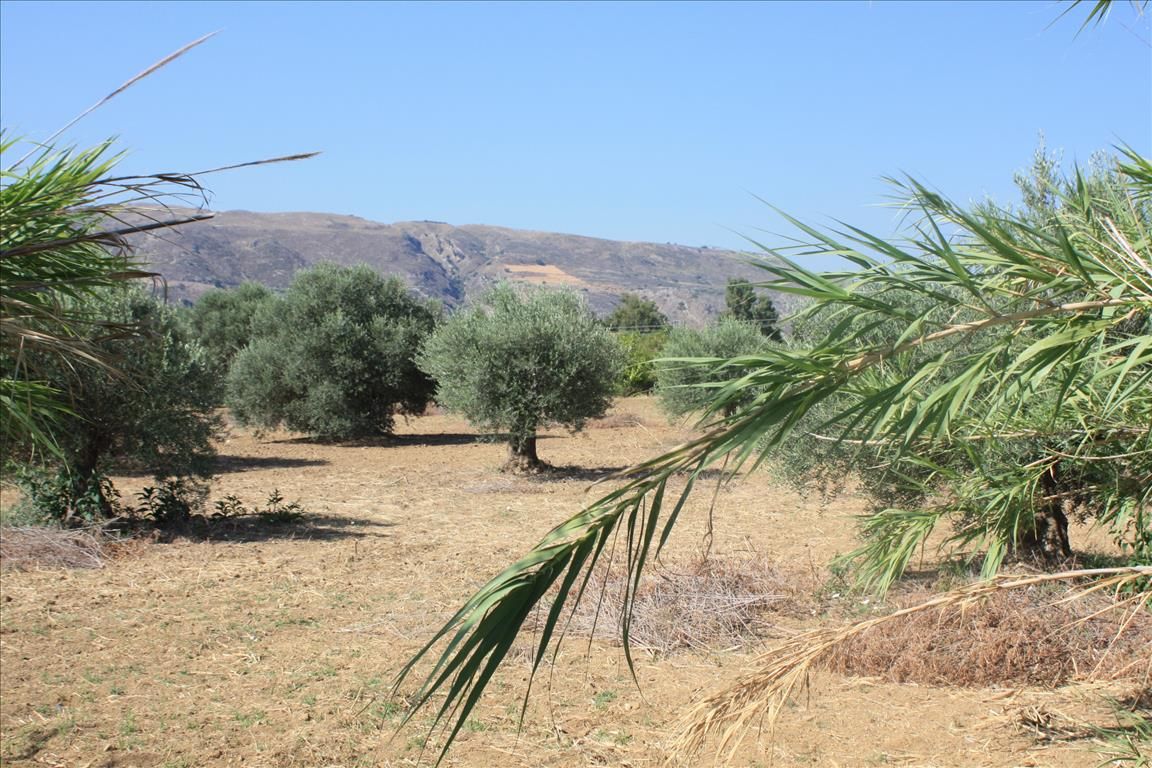 Land in Chania, Greece, 10 500 sq.m - picture 1