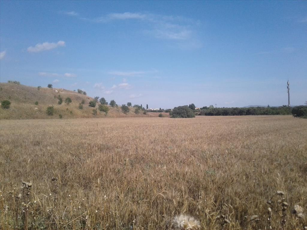 Land in Thessaloniki, Greece, 15 000 sq.m - picture 1
