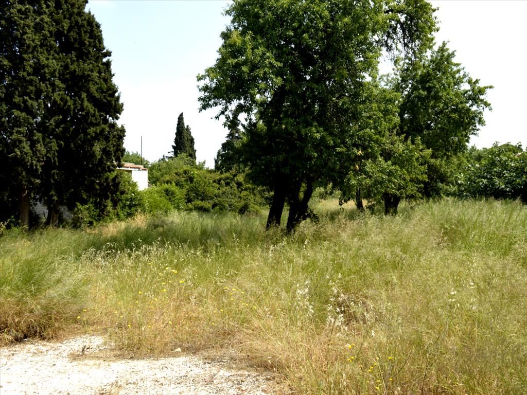 Land in Nea Makri, Greece, 2 100 sq.m - picture 1