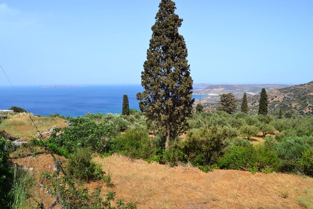 Land in Lasithi, Greece, 2 700 sq.m - picture 1