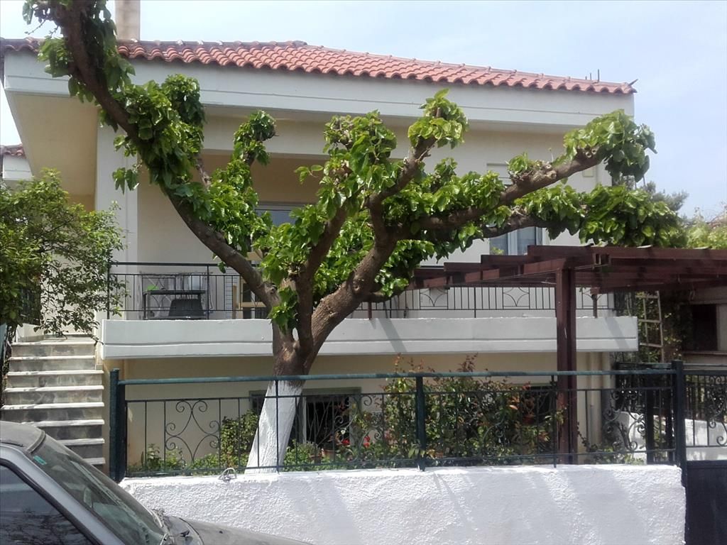 House on Eretria, Greece, 200 sq.m - picture 1