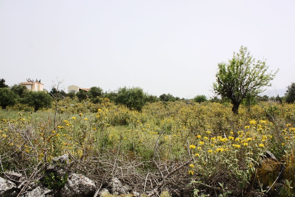 Land in Chania, Greece, 4 200 sq.m - picture 1