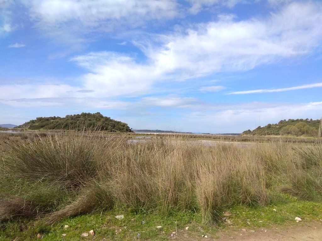 Land in Sithonia, Greece, 2 250 sq.m - picture 1