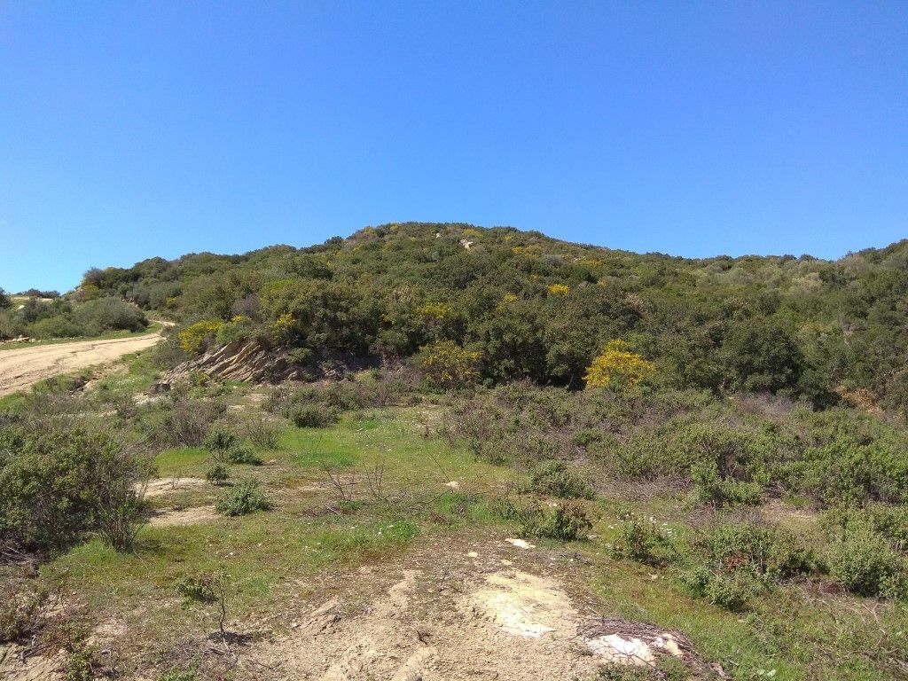 Land in Sithonia, Greece, 13 500 sq.m - picture 1