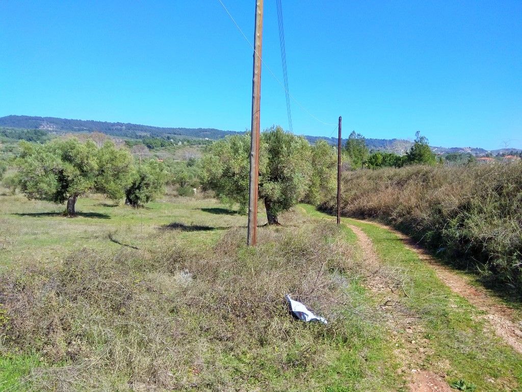 Land in Sithonia, Greece, 5 200 sq.m - picture 1