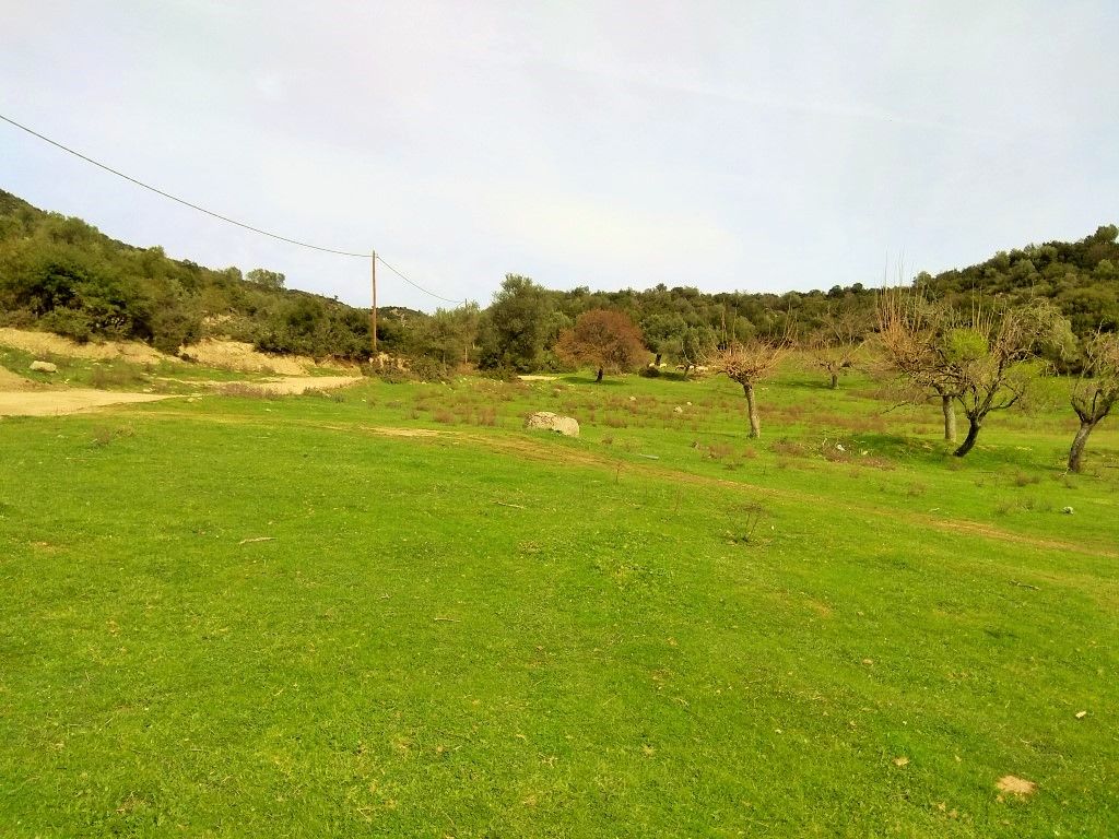 Grundstück in Sithonia, Griechenland, 3 300 m2 - Foto 1