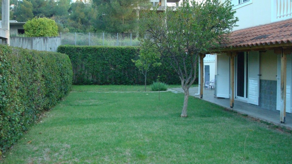 House in Dilesi, Greece, 299 sq.m - picture 1