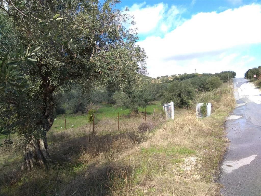 Grundstück in Sithonia, Griechenland, 3 450 m2 - Foto 1