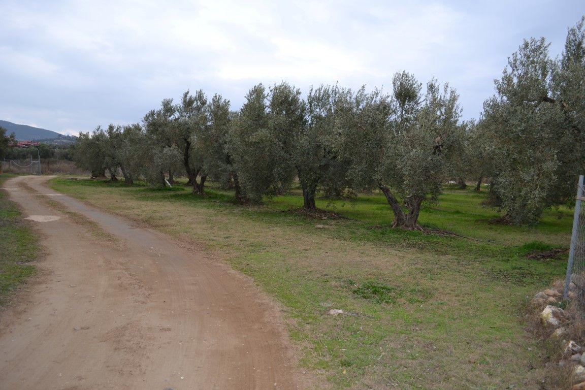 Grundstück in Chalkidiki, Griechenland, 2 700 m2 - Foto 1