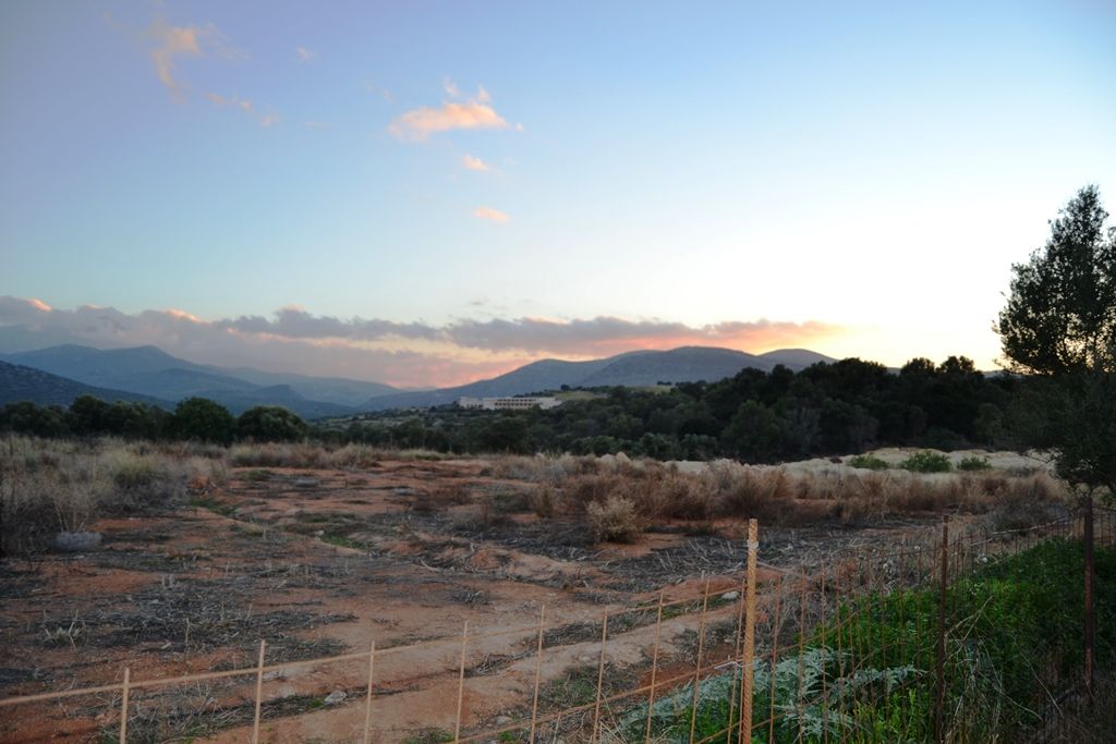 Grundstück in Malia, Griechenland, 12 500 m2 - Foto 1