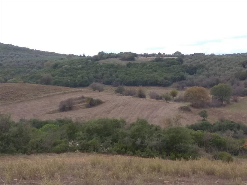 Land in Sithonia, Greece, 13 000 sq.m - picture 1