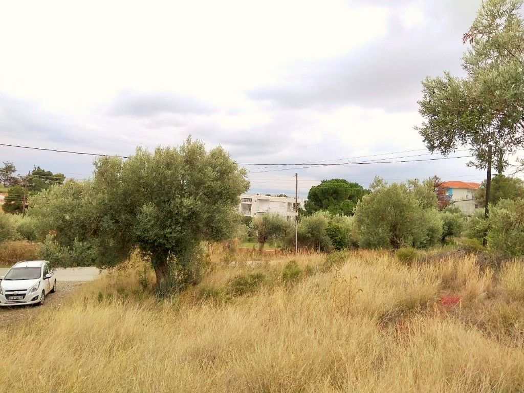 Grundstück in Chalkidiki, Griechenland, 6 500 m2 - Foto 1