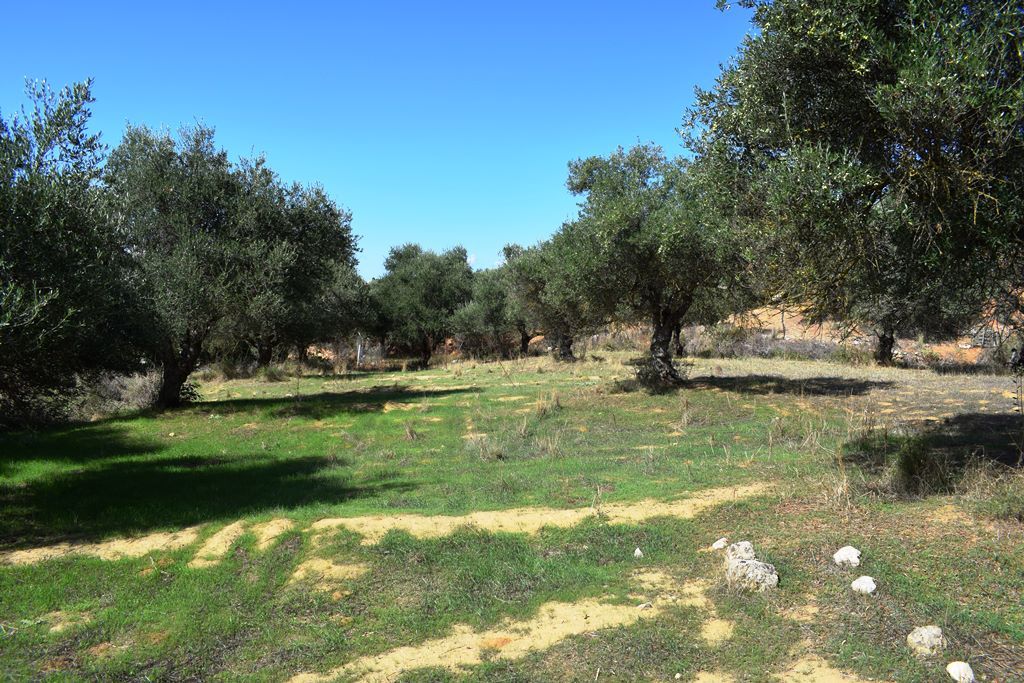 Land in Chania, Greece, 9 848 sq.m - picture 1