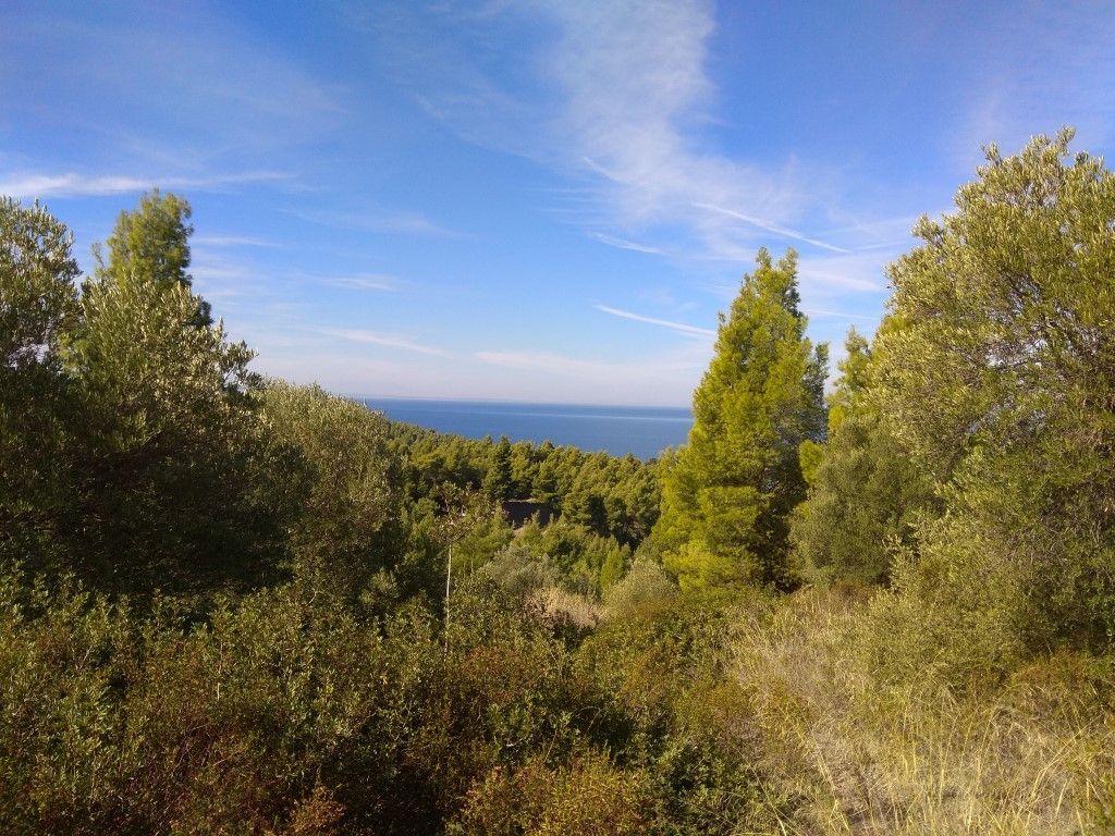 Land in Sithonia, Greece, 7 250 m² - picture 1