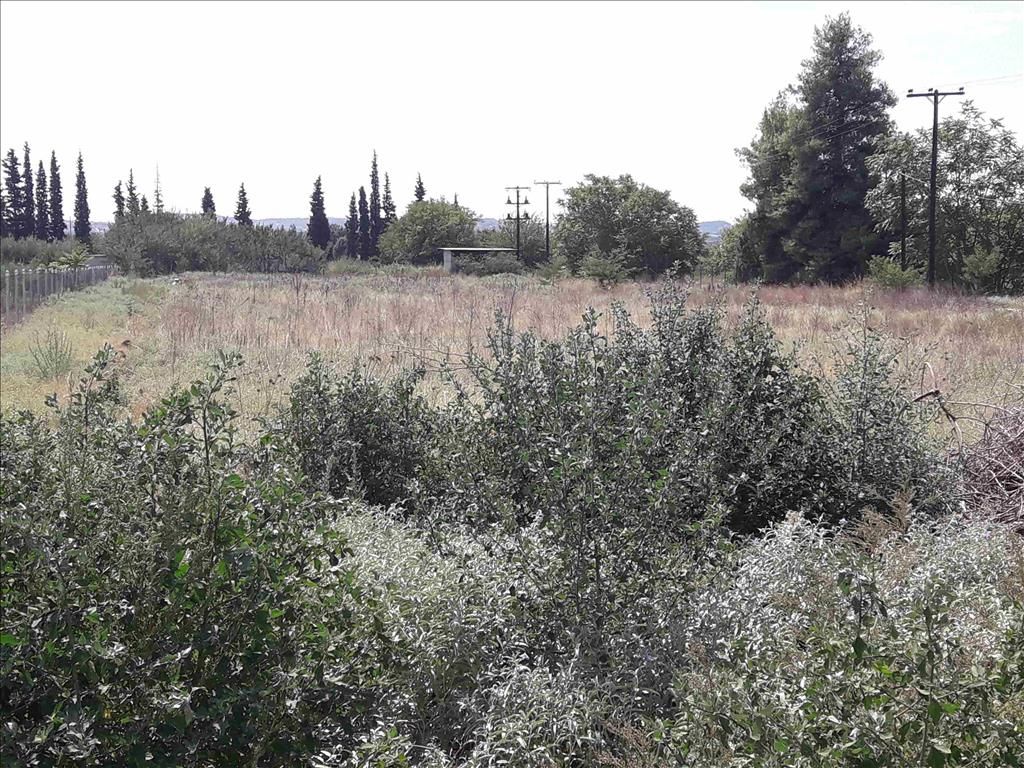 Land in Thessaloniki, Greece, 5 908 sq.m - picture 1