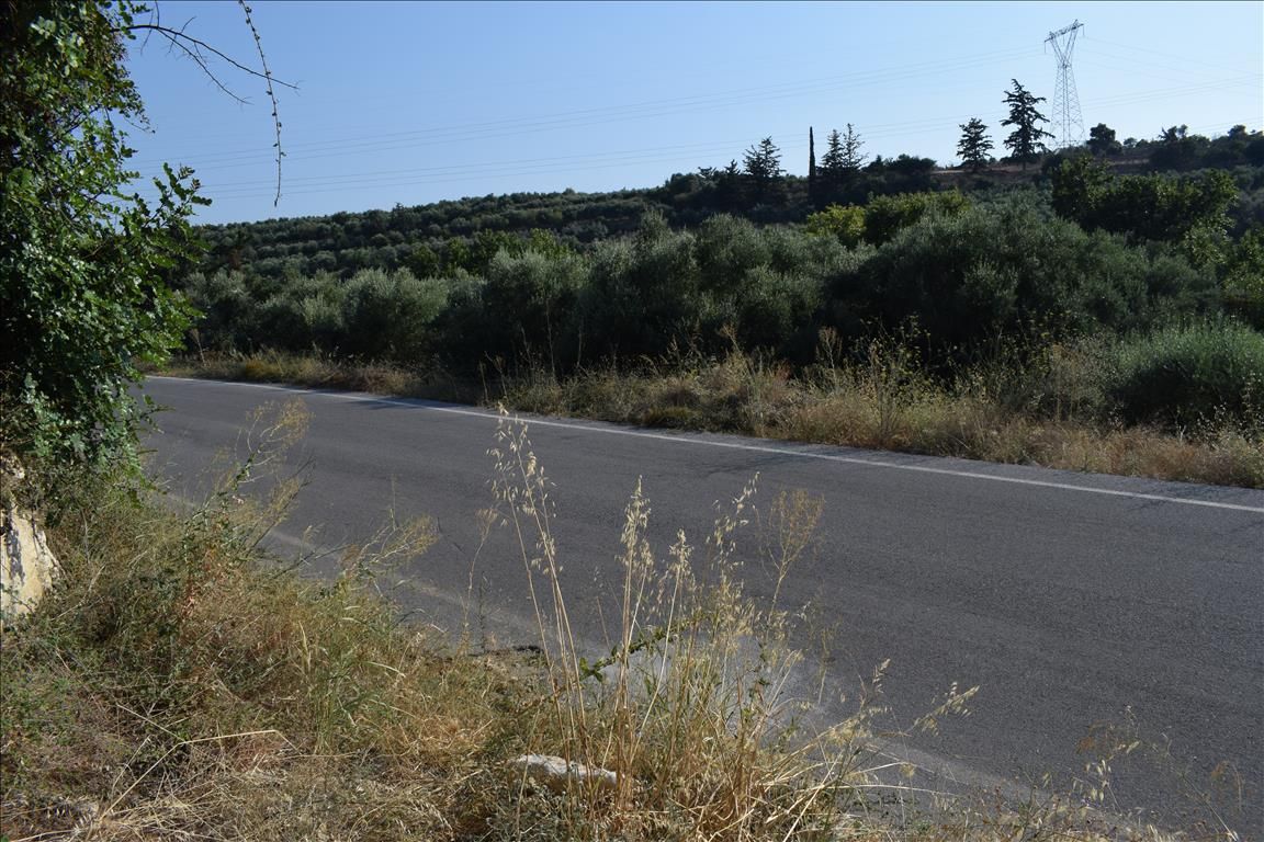 Land in Rethymno prefecture, Greece, 8 500 sq.m - picture 1