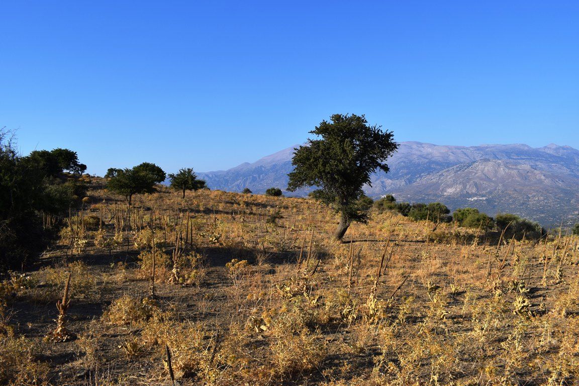Land in Rethymno prefecture, Greece, 60 000 sq.m - picture 1