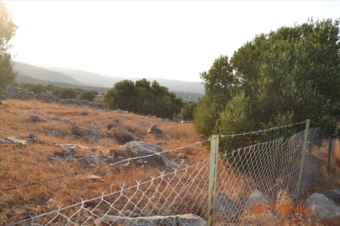 Land in Lasithi, Greece, 3 000 sq.m - picture 1