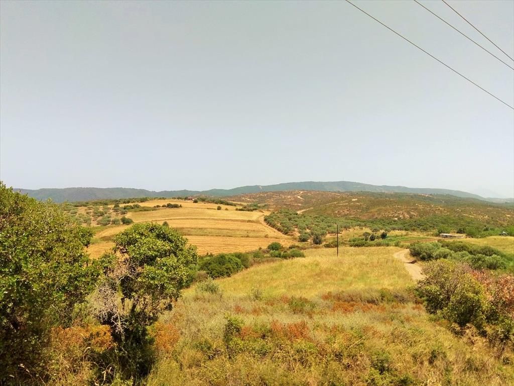 Grundstück auf dem Athos, Griechenland, 10 750 m2 - Foto 1