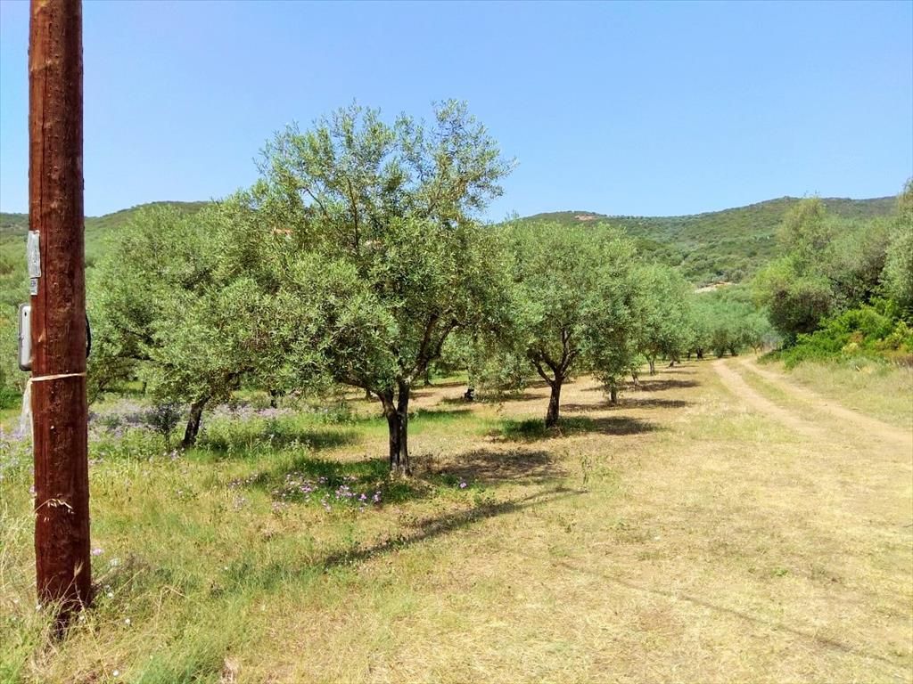 Land in Sithonia, Greece, 2 920 sq.m - picture 1