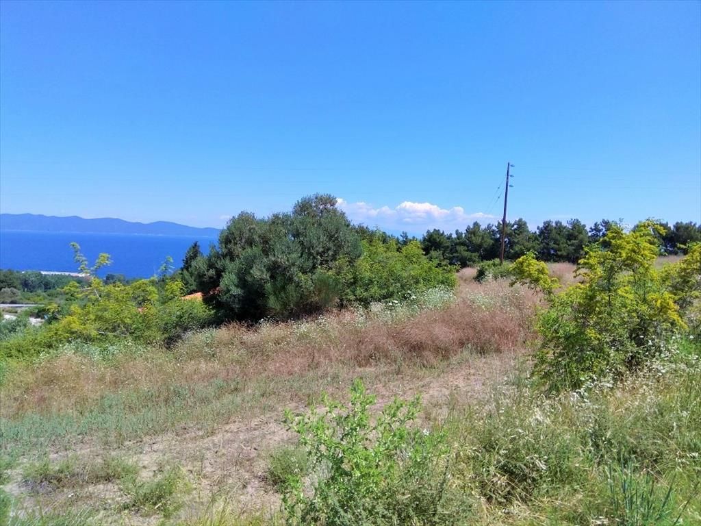 Terrain sur le Mont Athos, Grèce, 11 000 m2 - image 1