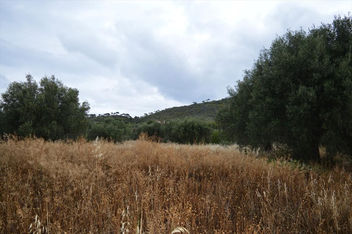 Grundstück in Corinthia, Griechenland, 5 693 m2 - Foto 1