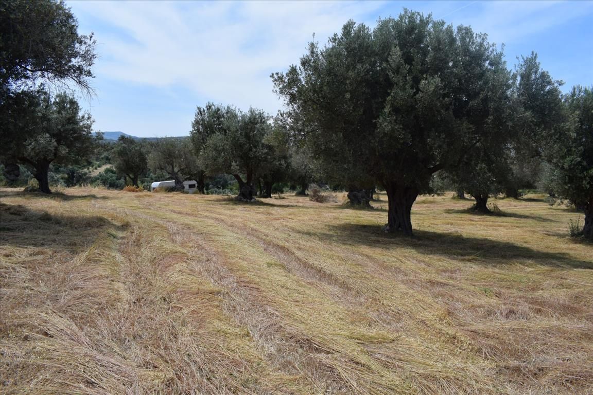 Land in Rethymno prefecture, Greece, 5 400 sq.m - picture 1
