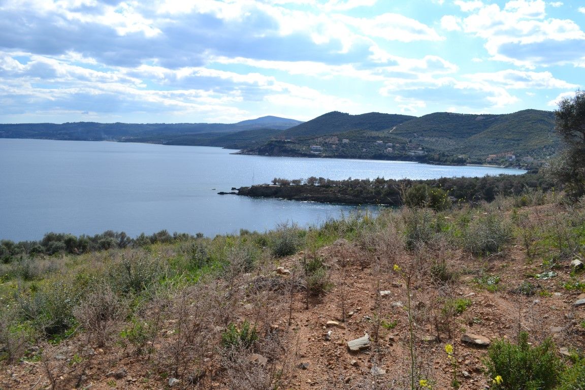 Land in Sithonia, Greece, 15 000 sq.m - picture 1