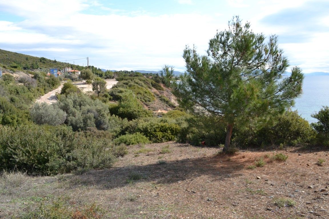 Land in Chalkidiki, Greece, 4 913 sq.m - picture 1