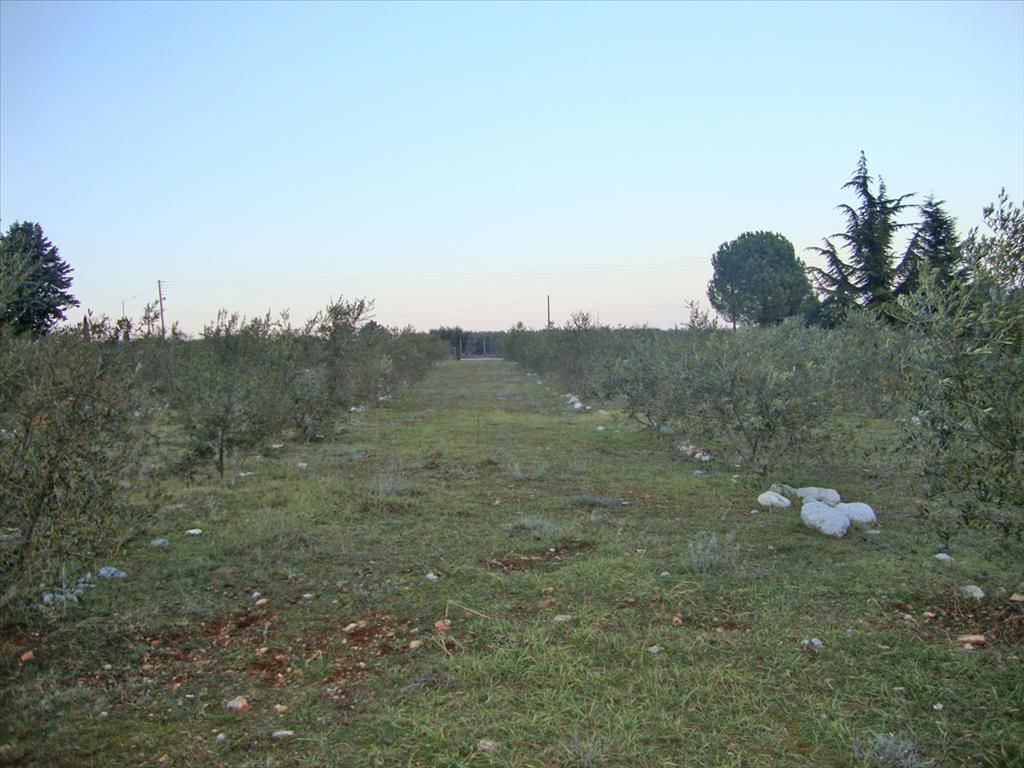 Grundstück in Pieria, Griechenland, 4 300 m2 - Foto 1