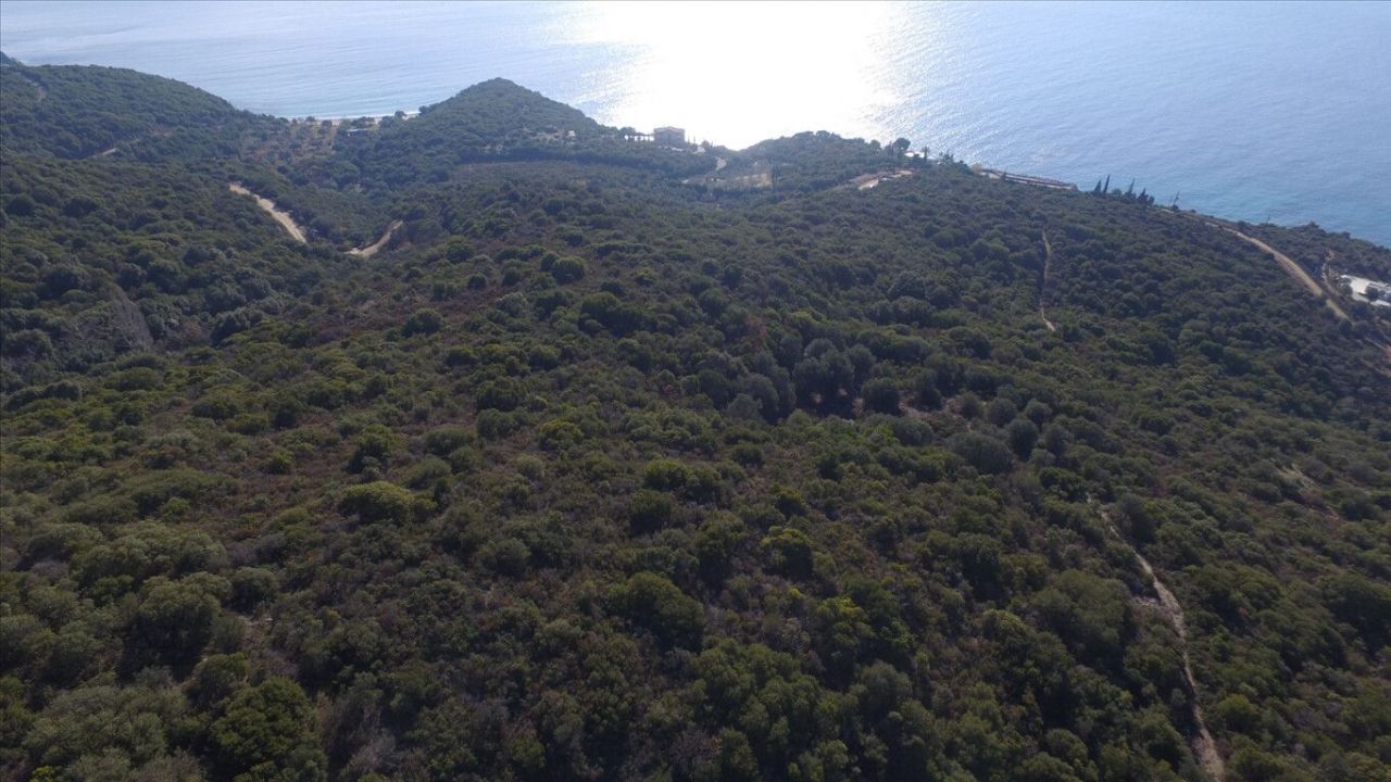 Land in Sithonia, Greece, 12 415 sq.m - picture 1