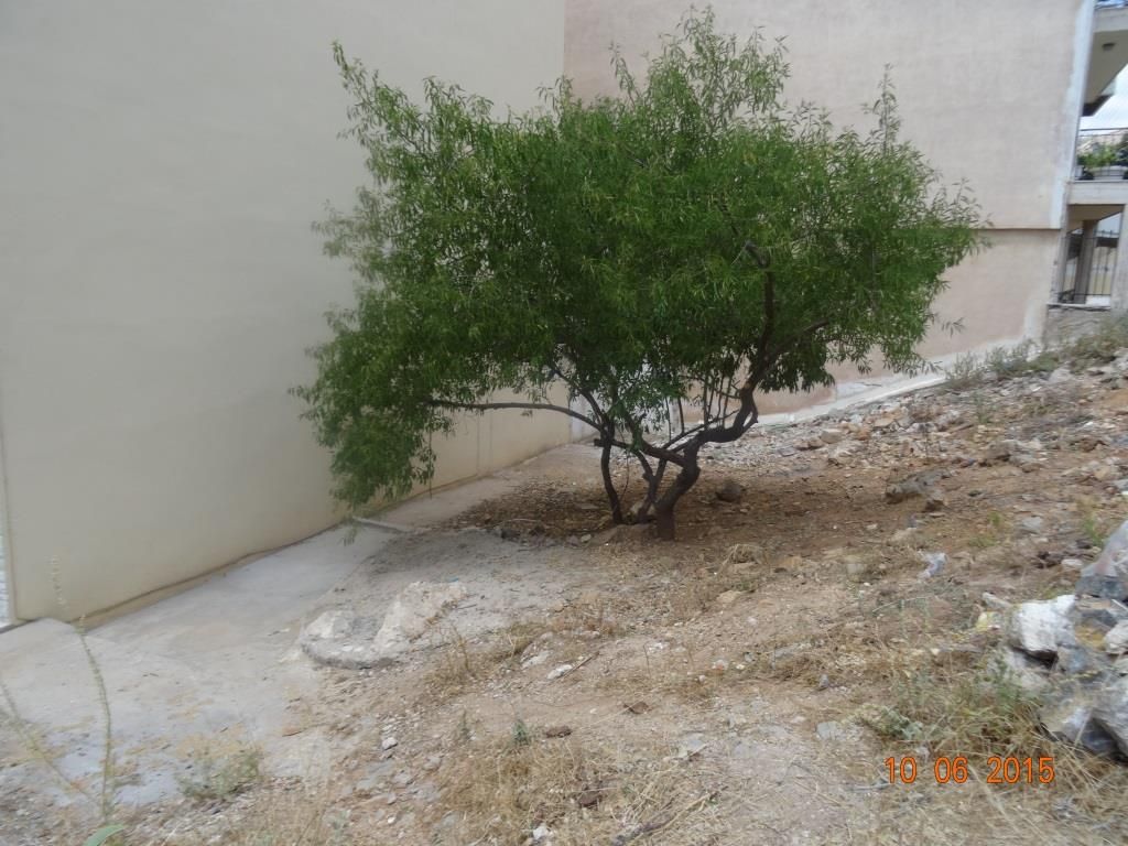 Land in Pireas, Greece, 230 sq.m - picture 1