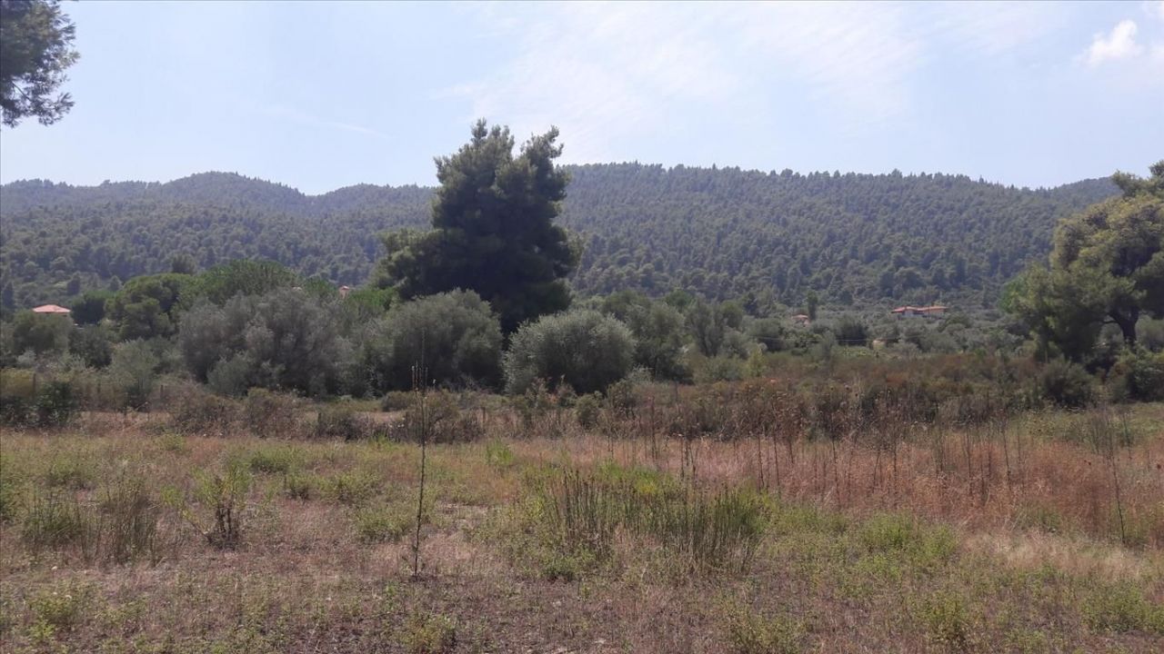 Land in Chalkidiki, Greece, 6 013 m² - picture 1