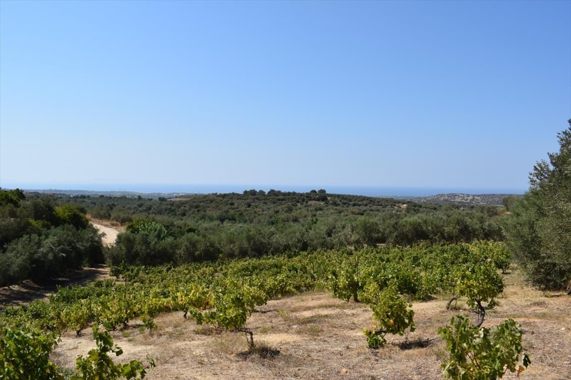 Land in Rethymno, Greece, 8 300 sq.m - picture 1