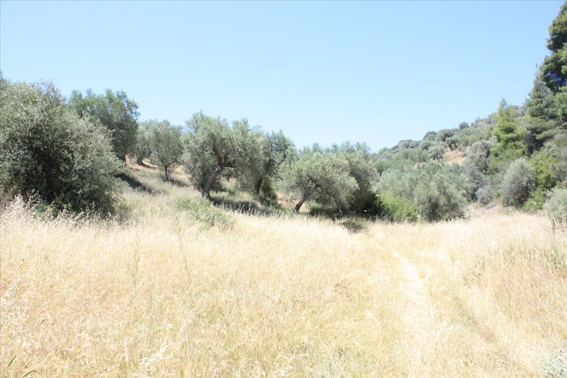 Land in Sithonia, Greece, 2 000 sq.m - picture 1