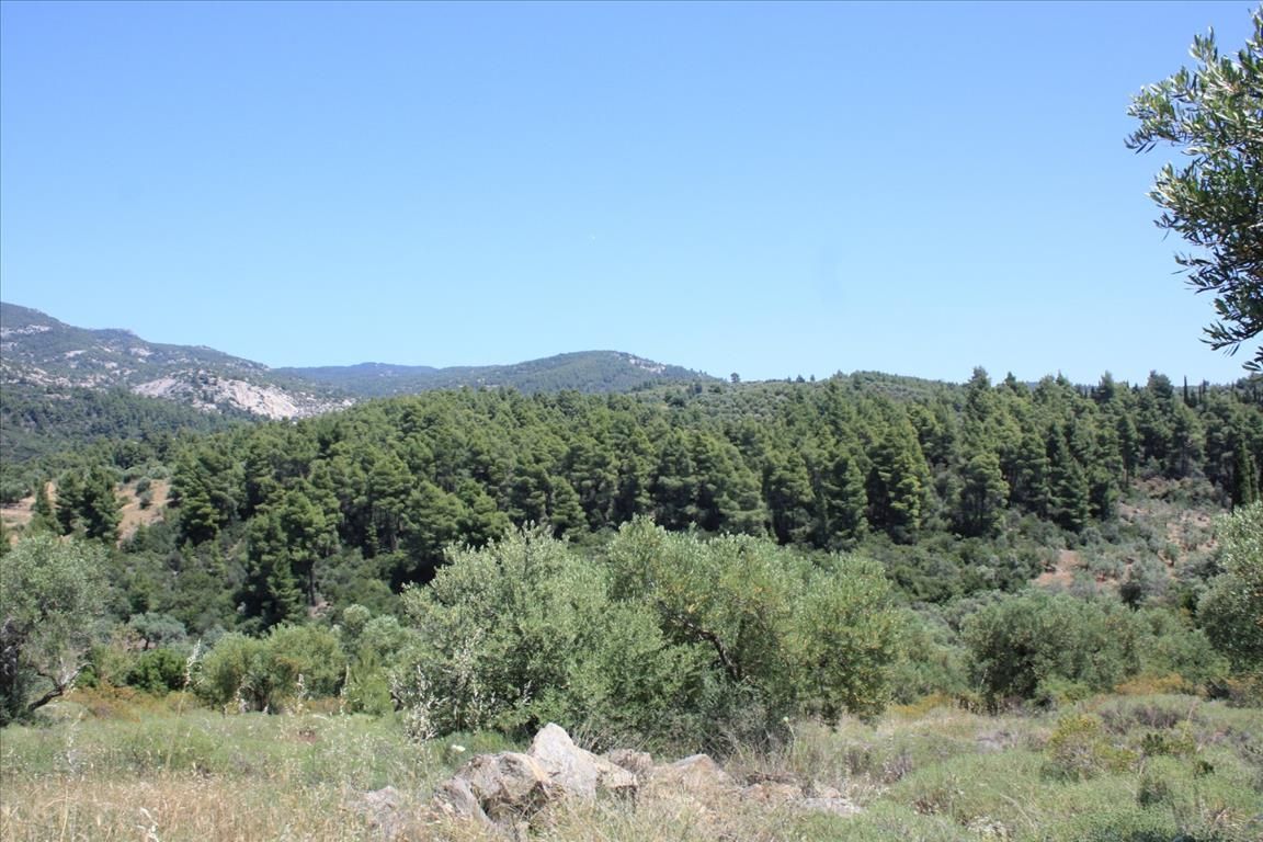 Land in Sithonia, Greece, 4 990 sq.m - picture 1