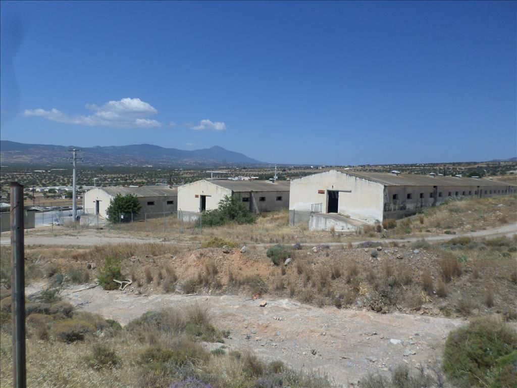 Land on Salamis, Greece, 22 000 sq.m - picture 1
