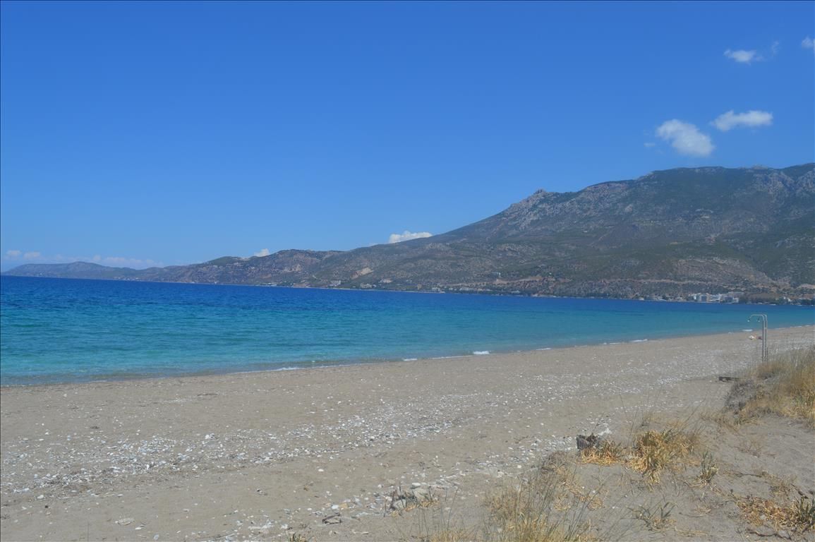 Land in Corinthia, Greece, 3 000 sq.m - picture 1
