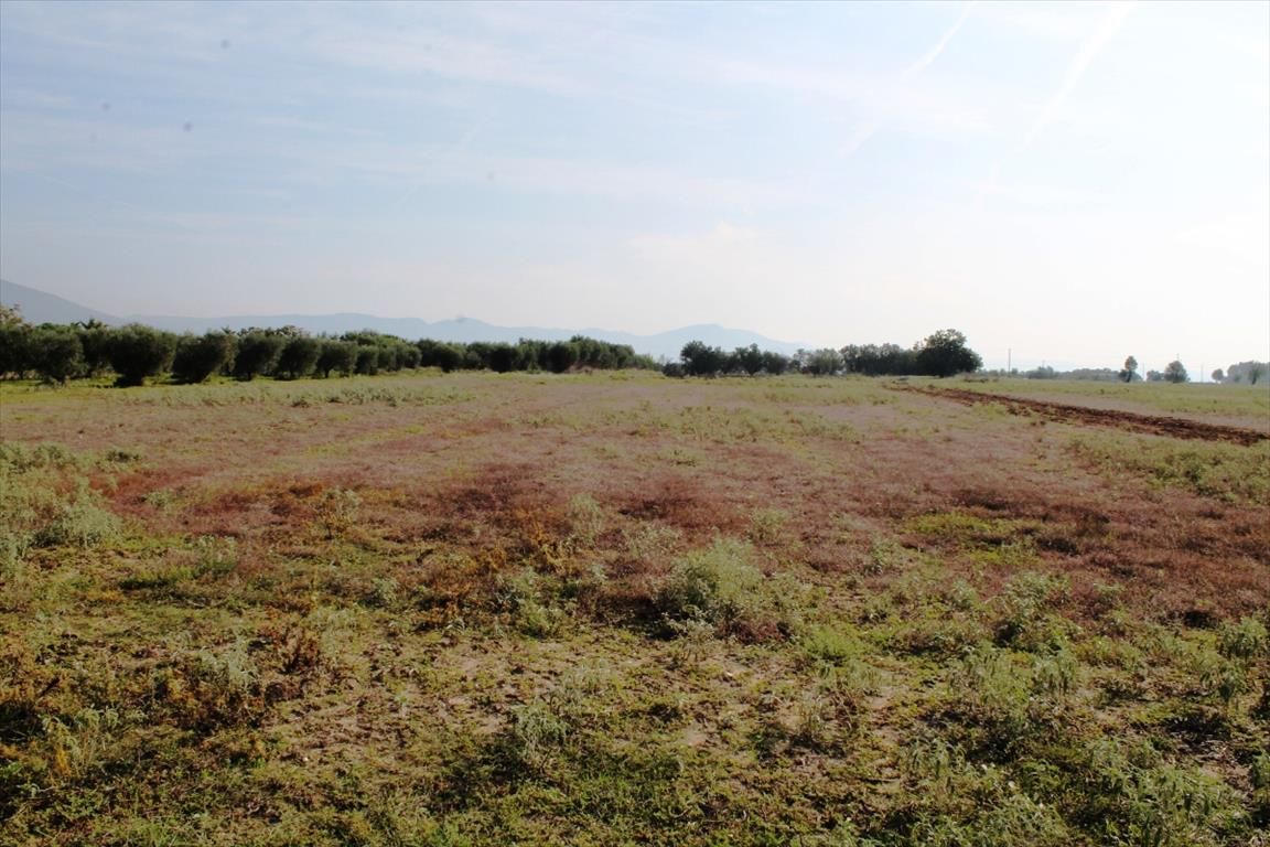 Land in Thessaloniki, Greece, 11 600 sq.m - picture 1
