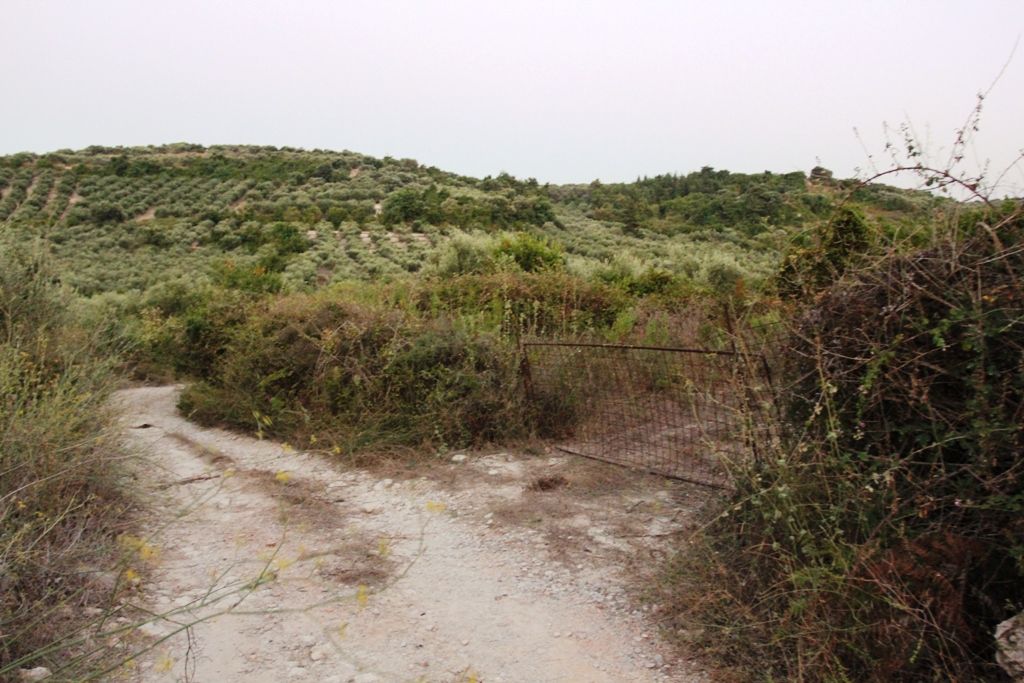 Land in Rethymno, Greece, 14 500 sq.m - picture 1