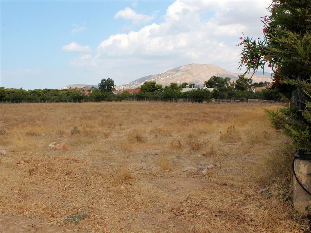Grundstück in Agios Konstantinos, Griechenland, 7 900 m2 - Foto 1