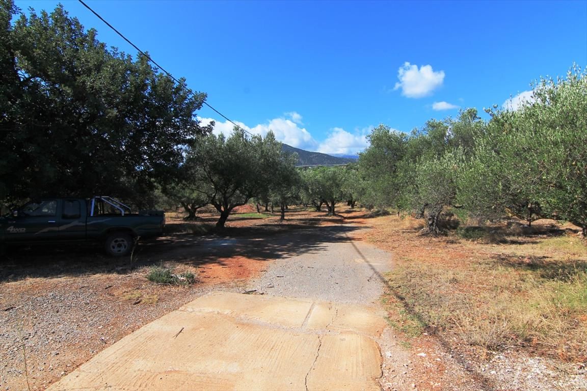 Land in Lasithi, Greece, 7 800 sq.m - picture 1