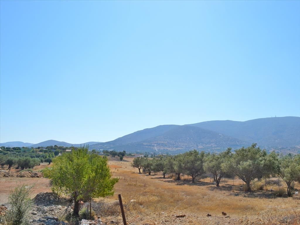 Land in Lagonisi, Greece, 5 300 sq.m - picture 1