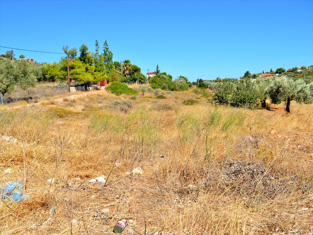 Terrain à Agios Konstantinos, Grèce, 4 700 m2 - image 1