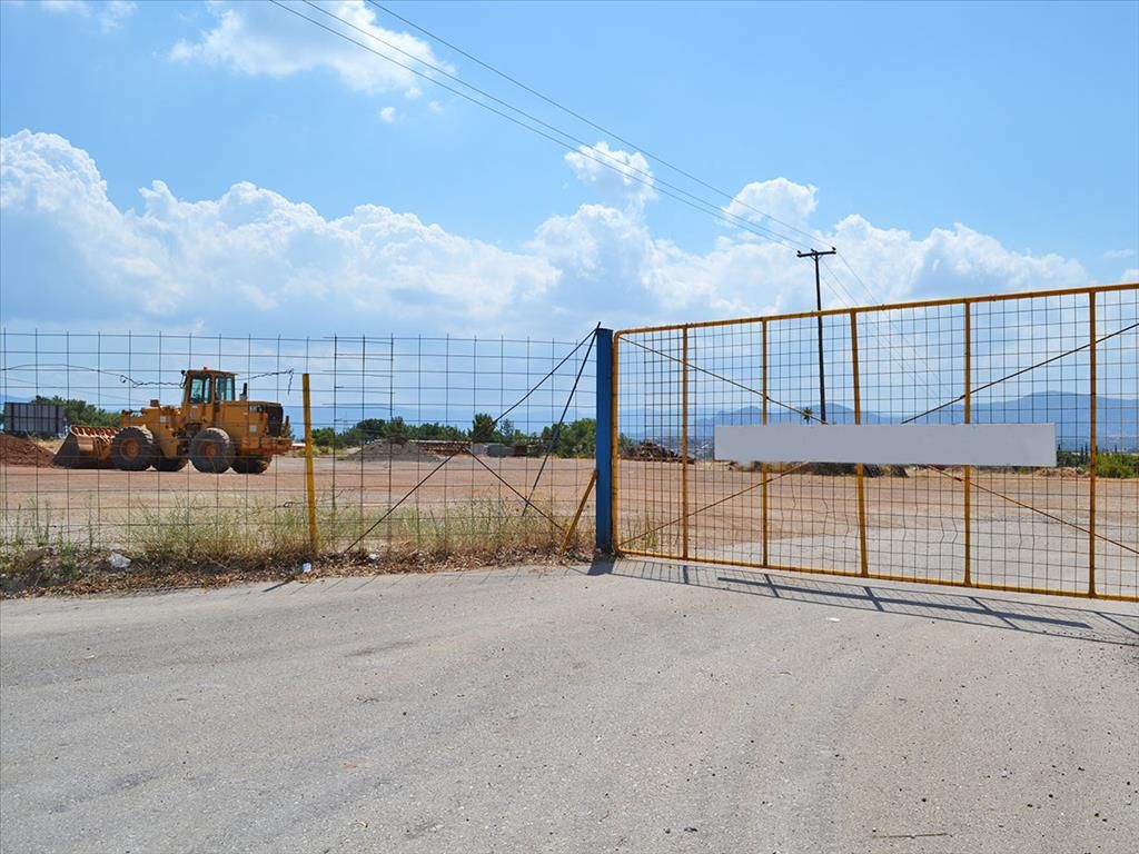 Terrain en Corinthie, Grèce, 9 950 m2 - image 1