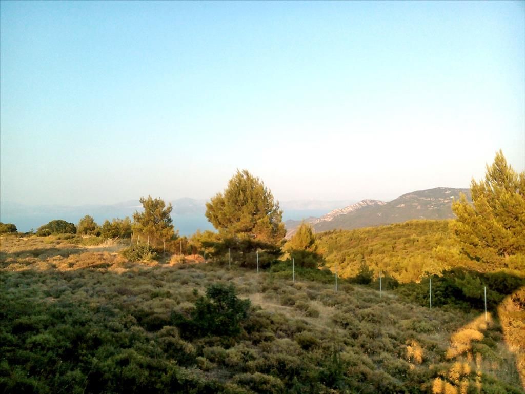 Land on Eretria, Greece, 7 300 sq.m - picture 1