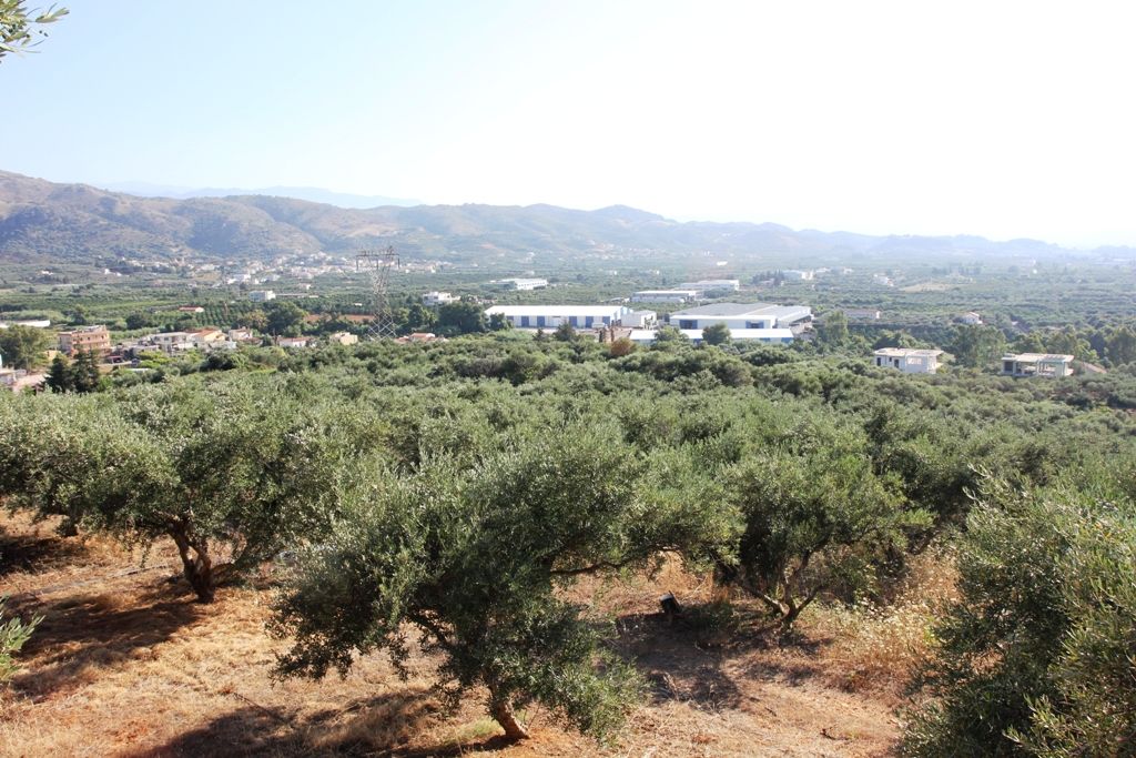 Land in Chania, Greece, 8 100 sq.m - picture 1
