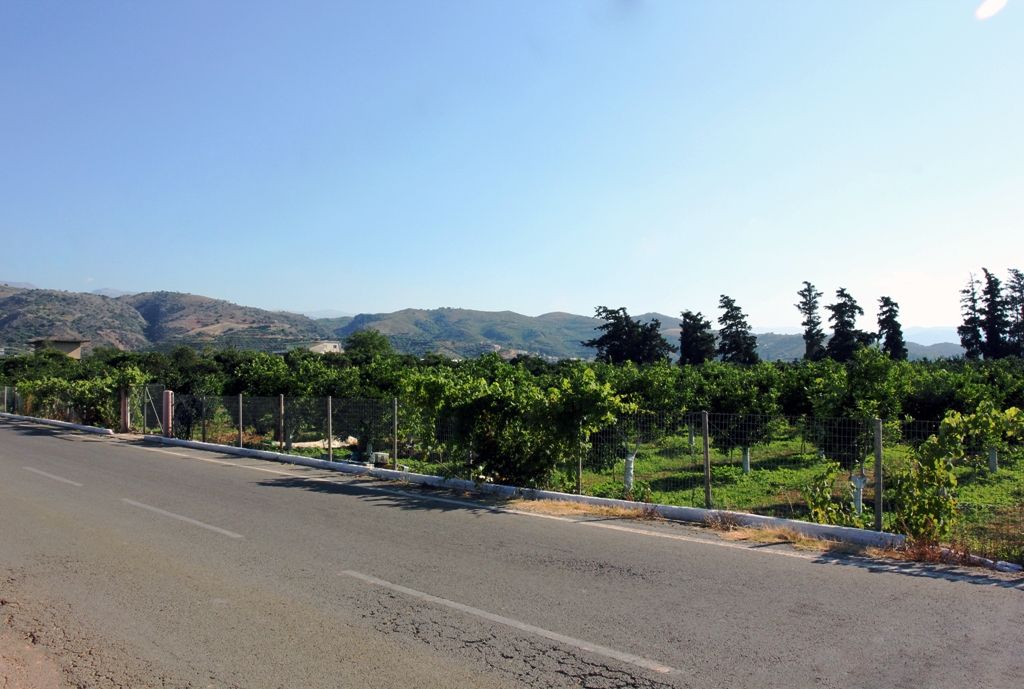 Land in Chania, Greece, 3 300 sq.m - picture 1