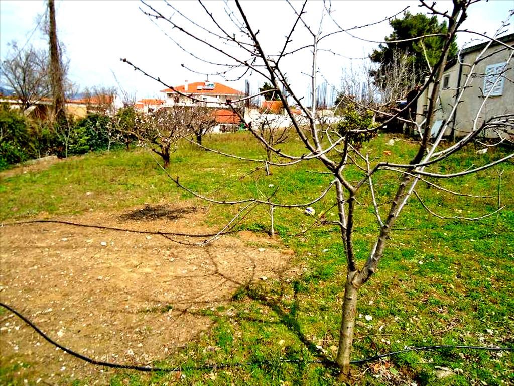 Grundstück in Agios Stefanos, Griechenland, 1 800 m2 - Foto 1