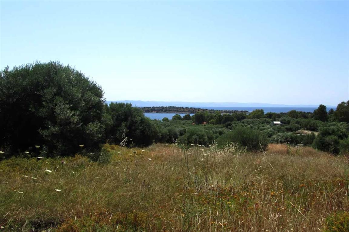 Land in Sithonia, Greece, 7 125 sq.m - picture 1
